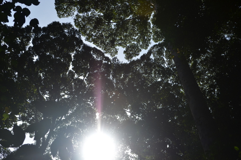 0206 DSC 5511
